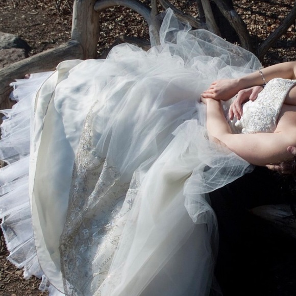 Lazaro tulle Swarovski A line wedding gown - Picture 2 of 8